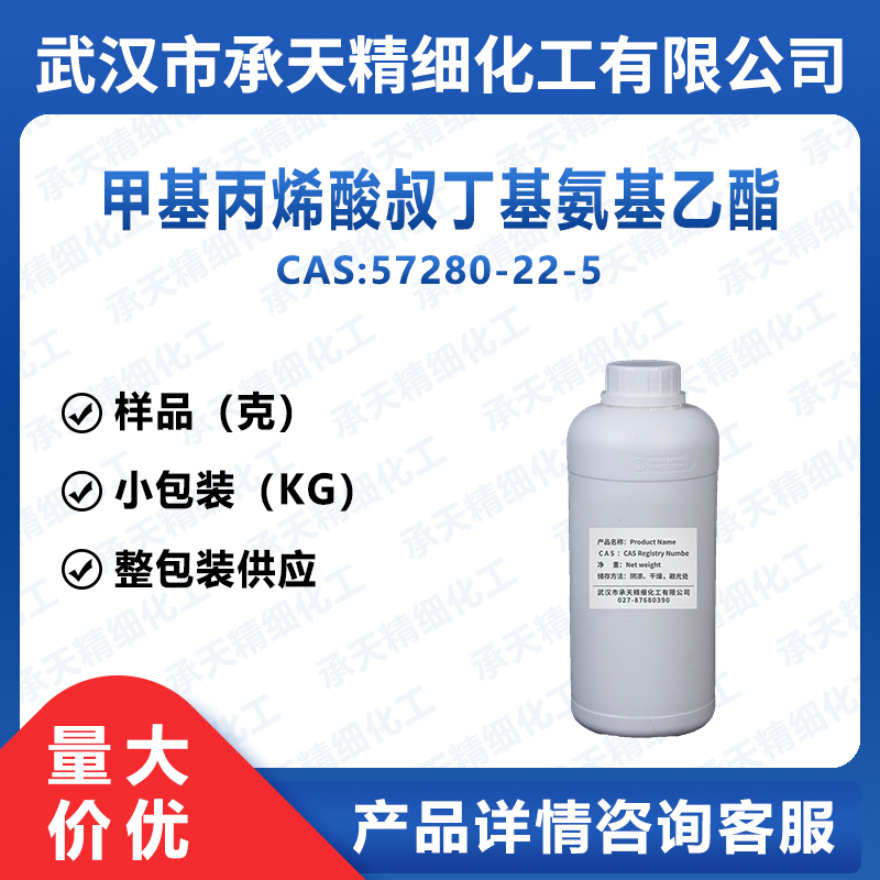 甲基丙烯酸叔丁基氨基乙酯,2-(TERT-BUTYLAMINO)ETHYL METHACRYLATE