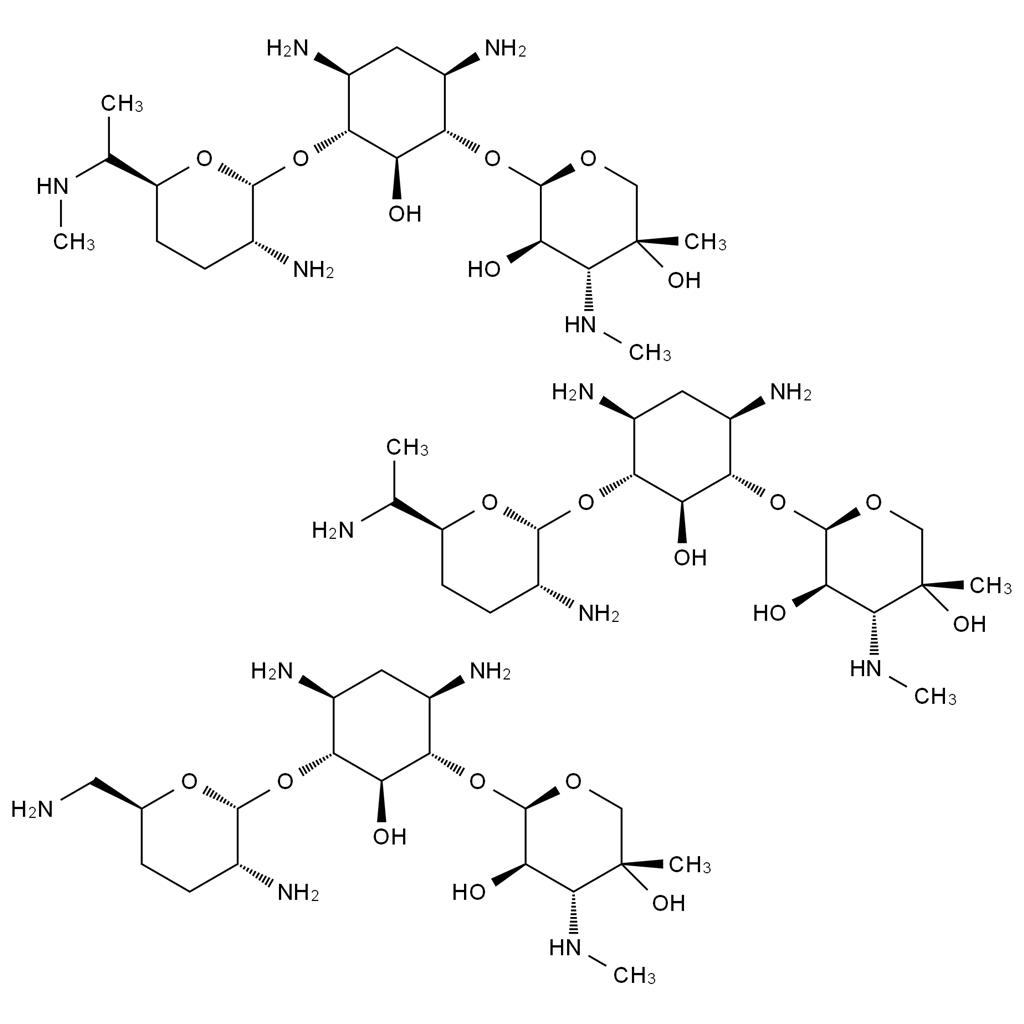 慶大霉素,Gentamicin