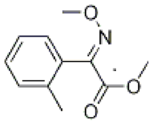 (E)2-甲氧基亚胺基-[(2-邻甲基苯基)]乙酸甲酯,Methyl 2-(MethoxyiMino)-2-o-tolylacetate