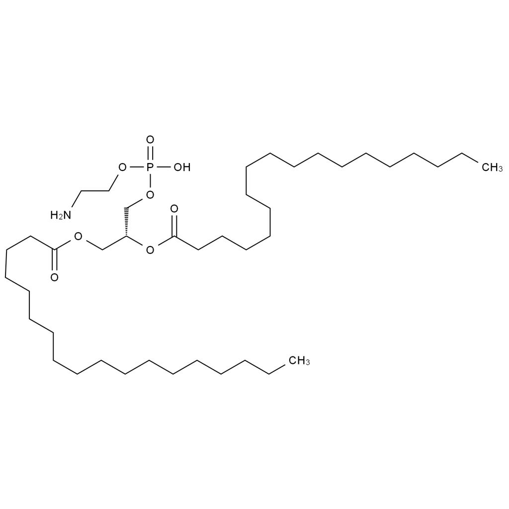 1,2-二硬脂?；?sn-丙三基-3-磷脂酰乙醇胺,1,2-Distearoyl-sn-glycero-3-phosphoethanolamine