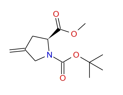 N-BOC-4-亞甲基-L-脯氨酸甲酯,N-Boc-4-methylene-L-Proline methyl Ester