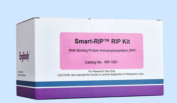 RNA结合蛋白免疫沉淀RIP试剂盒,RIP Kit