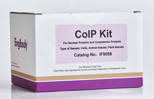 蛋白互作免疫共沉淀CoIP试剂盒,CoIP kit