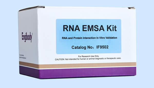 RNA EMSA凝膠遷移阻滯試劑盒,RNA EMSA Kit