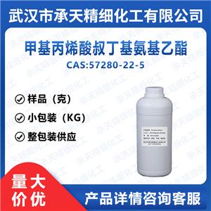 甲基丙烯酸叔丁基氨基乙酯,2-(TERT-BUTYLAMINO)ETHYL METHACRYLATE