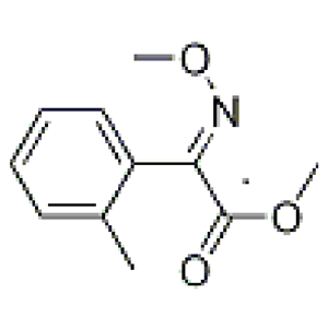 (E)2-甲氧基亚胺基-[(2-邻甲基苯基)]乙酸甲酯