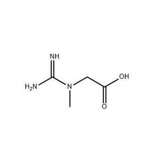 肌酸,Creatine