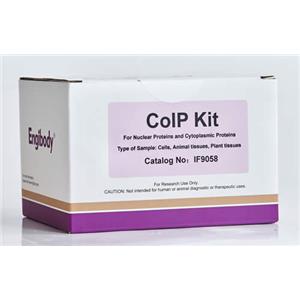 蛋白互作免疫共沉淀CoIP试剂盒,CoIP kit