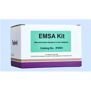 凝膠遷移EMSA Kit,EMSA Kit