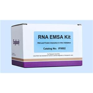 RNA EMSA凝膠遷移試劑盒