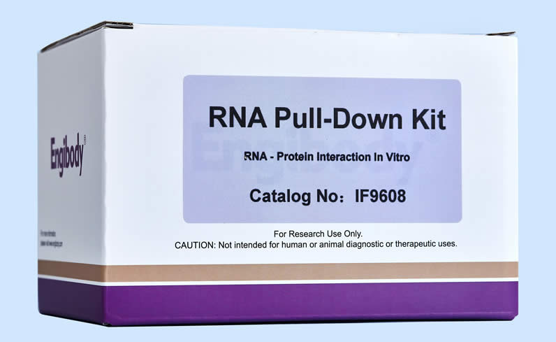 RNA Pull-down試劑盒,RNA Pull-down Kit