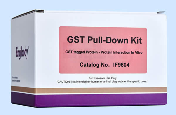 蛋白互作GST Pull-Down試劑盒,GST Pull-Down Kit