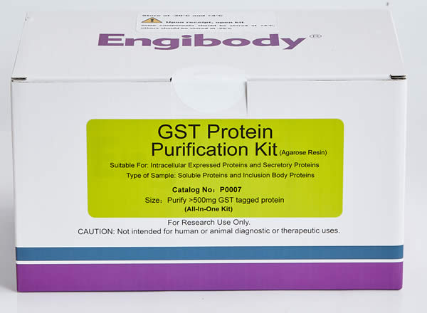 GST蛋白純化試劑盒,GST tagged Protein Purification Kit