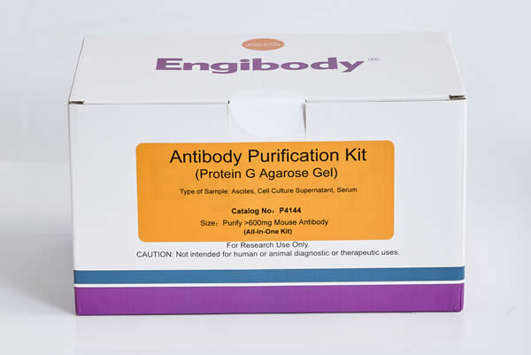 Protein G抗體純化試劑盒,Protein G Antibody Purification Kit