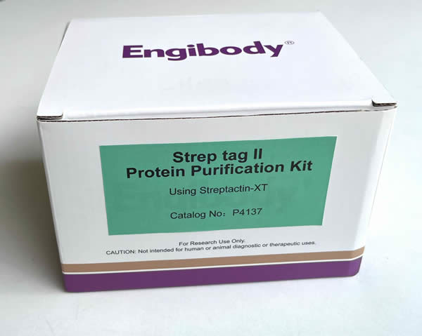 Strep tag II 標簽蛋白純化試劑盒,Strep tag II  Protein Purification Kit