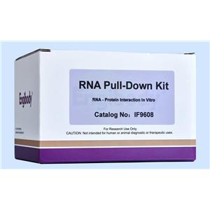 RNA Pull-down试剂盒