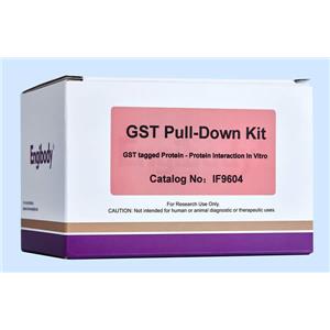 蛋白互作GST Pull-Down試劑盒,GST Pull-Down Kit