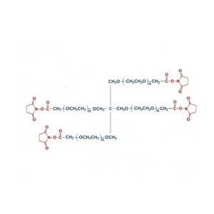 四臂聚乙二醇琥珀酰亞胺乙酸酯,4aPEG-SCM