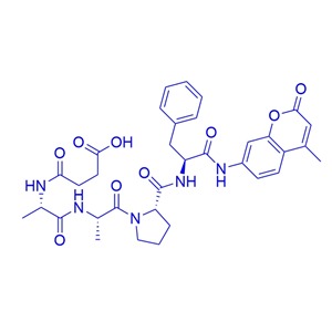 α-凝乳胰蛋白酶熒光底物多肽/88467-45-2/Suc-Ala-Ala-Pro-Phe-AMC