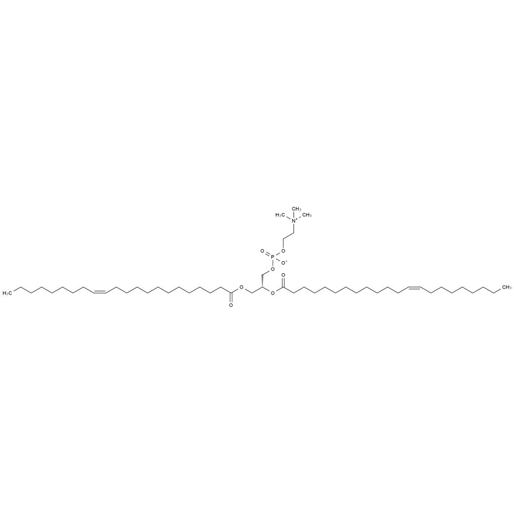 1,2-二芥酰-SN-甘油-3-磷酰膽堿,1,2-DI13-CIS-DOCOSENOYL-SN-GLYCERO-3-PHOSPHOCHOLINE