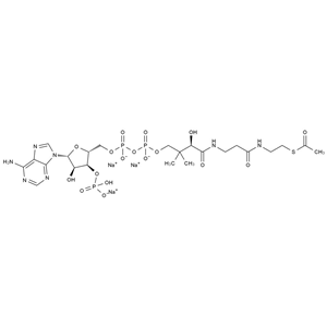 乙酰輔酶A三鈉鹽,Acetyl Coenzyme A Trisodium Salt