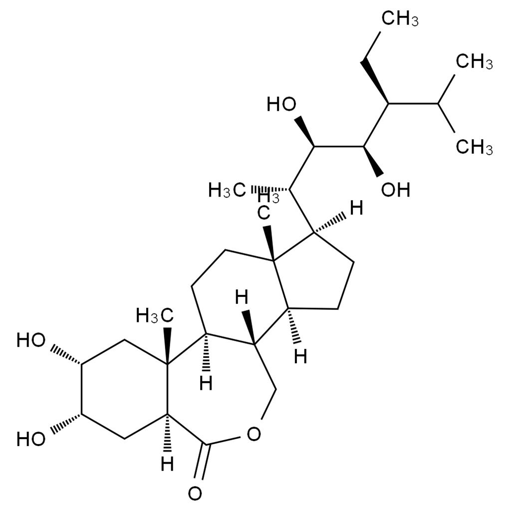 28-高油菜素內(nèi)酯,28-Homo Brassinolide