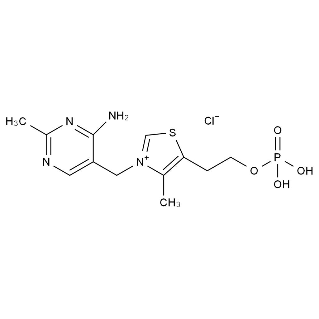 維生素B1單磷酸酯氯化物,Vitamin B1 Monophosphate Chloride