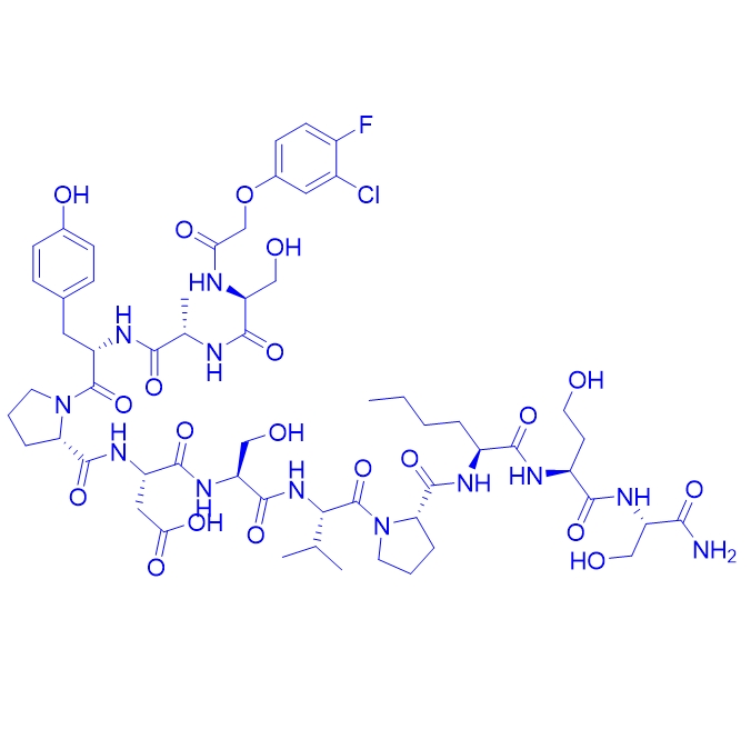 肿瘤归巢剂多肽123B9,123B9