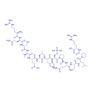 人水通道蛋白 2 (AQP2) Ser261 磷酸化多肽254-267/1643595-65-6/Aquaporin-2 (254-267), pSER261, human