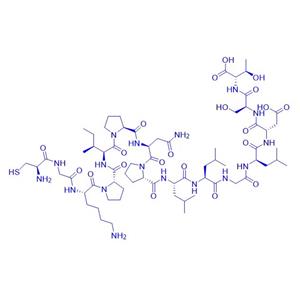 V5 Peptide/922704-46-9/标签肽V5 Peptide