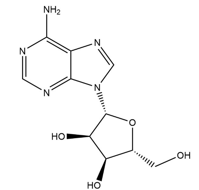 腺苷,Adenosine