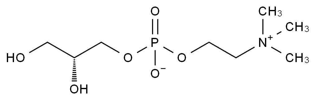 sn-甘油-3-磷酸膽堿,sn-Glycero-3-phosphocholine