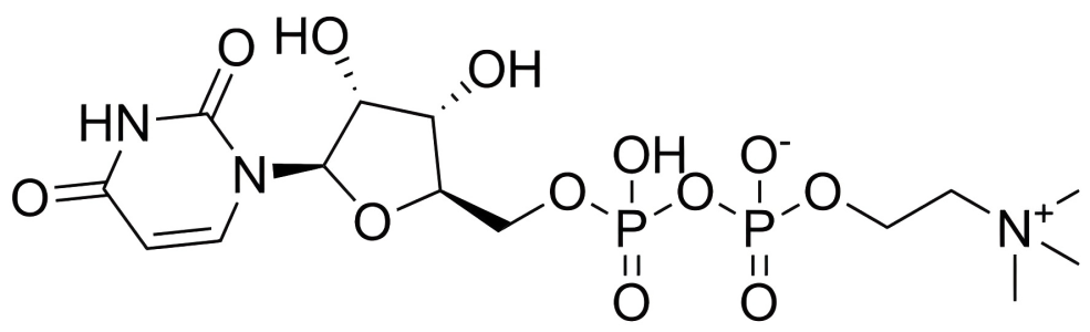 尿苷二磷酸膽堿；UDPC,Uridine Diphosphate Choline (UDPC)