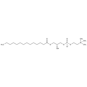 CATO_1-十四酰-2-羥基卵磷脂_20559-16-4_97%