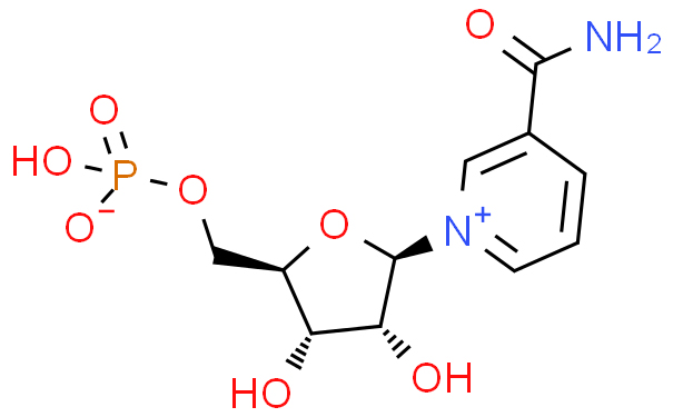 β-煙酰胺單核苷酸,NMN