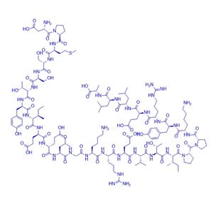 Calpain Inhibitor Peptide/128578-18-7/抑制鈣蛋白酶活性多肽Calpain Inhibitor Peptide