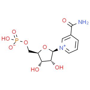 β-煙酰胺單核苷酸,NMN