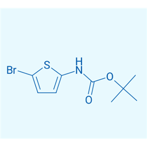 5-溴噻吩-2-基氨基甲酸叔丁酯  943321-89-9