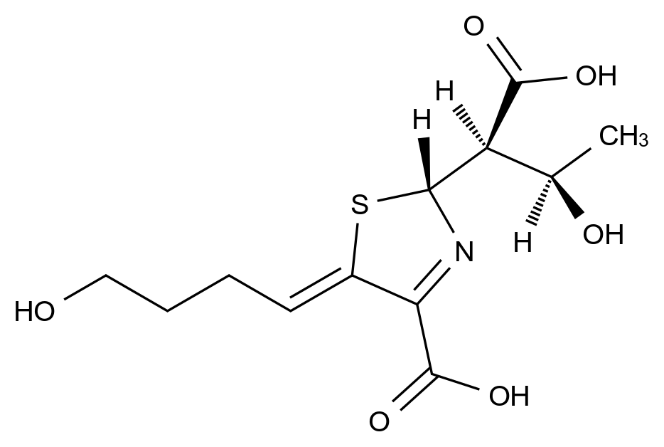 法羅培南雜質(zhì)54,Faropenem Impurity 54