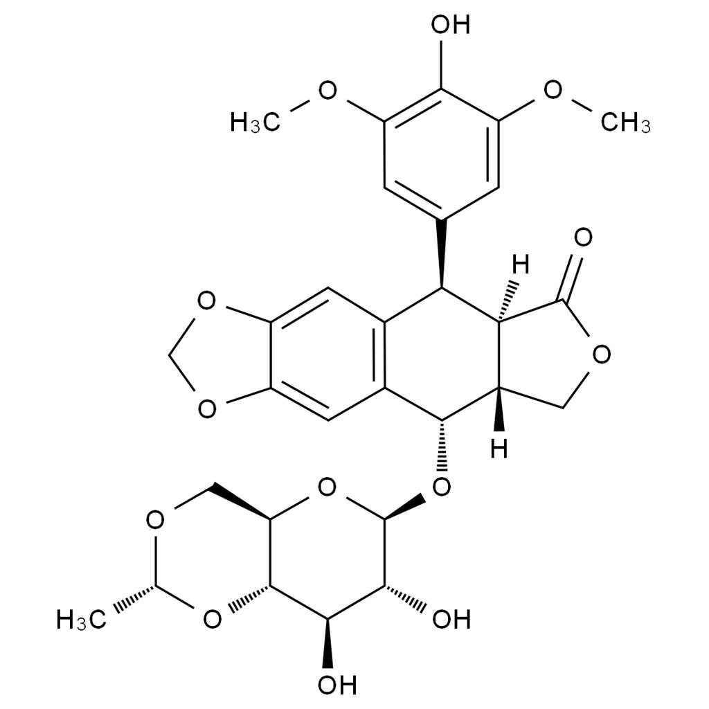 依托泊苷,Etoposide