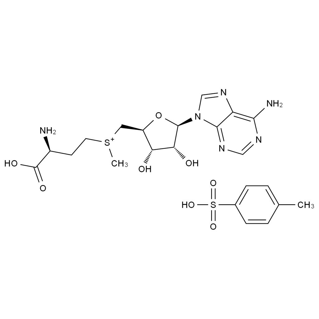 S-腺苷-L-蛋氨酸甲磺酸鹽,S-Adenosyl-L-Methionine Tosylate