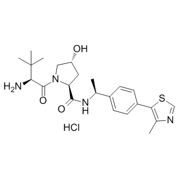 E3連接酶配體1,E3 ligase Ligand 1