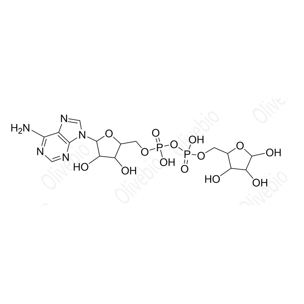 腺苷5′-二磷酸核糖,Adenosine diphosphate ribose