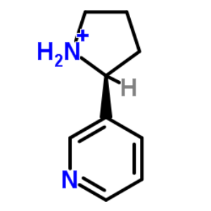 (±)-降煙堿,(±)-Nornicotine