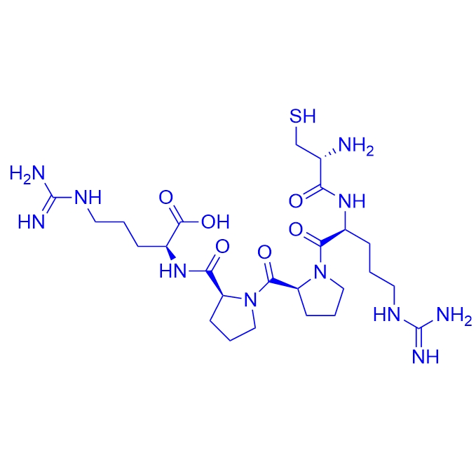 心臟歸巢肽CRPPR,Heart-homing peptide