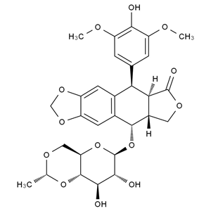 依托泊苷,Etoposide