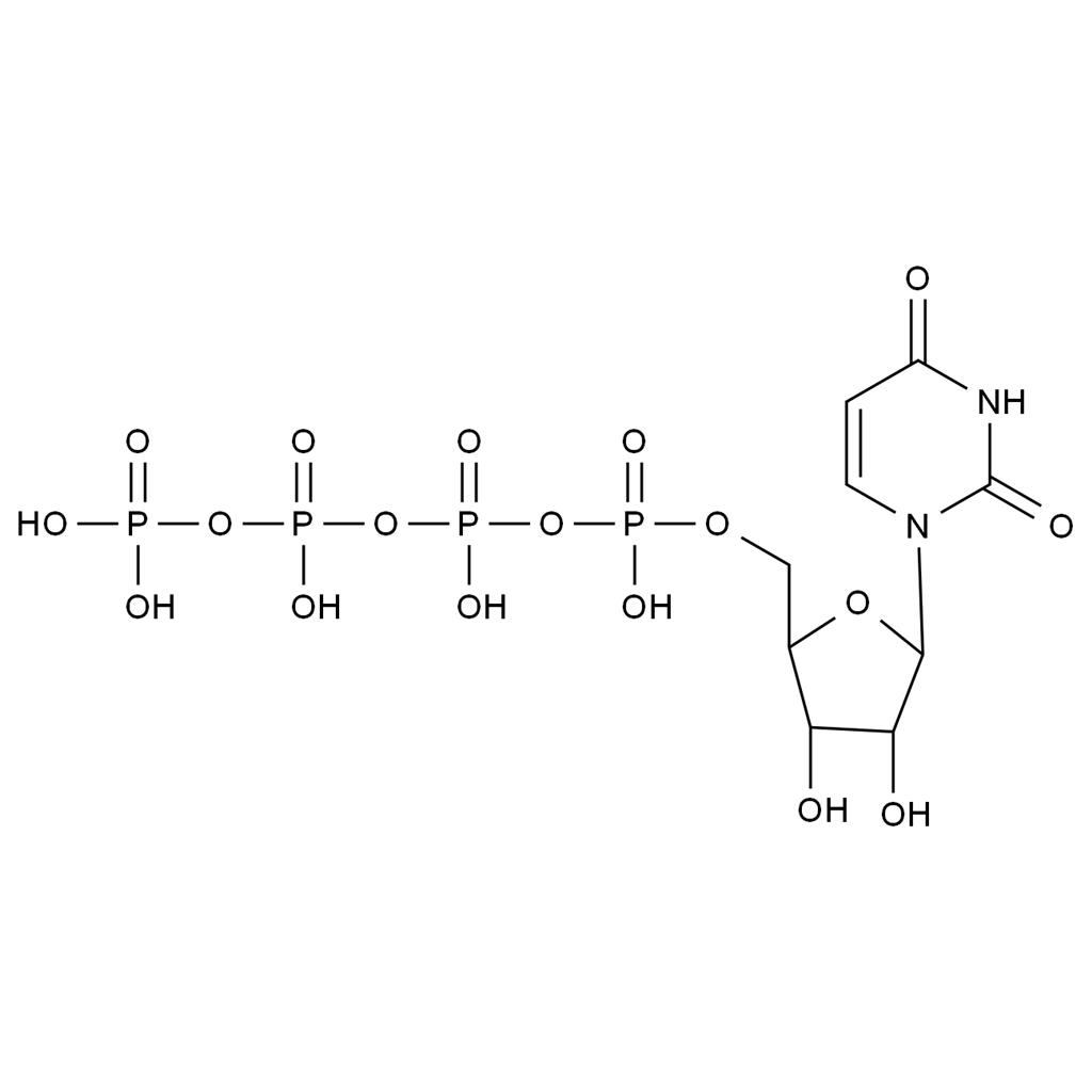 地夸磷索雜質(zhì)15,Diquafosol Impurity 15