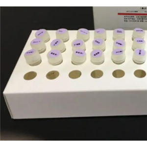 支原體染料法熒光定量PCR試劑盒Mycoplasma spp