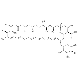 兩性霉素雜質(zhì)7,Amphotericin B Impurity 7