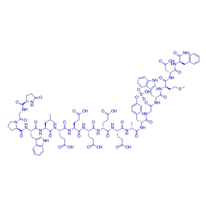 胃泌素Gastrin I (human) (sulfated) /19361-51-4/Gastrin I (human) (sulfated)